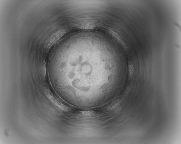 X0000101160541200807071200