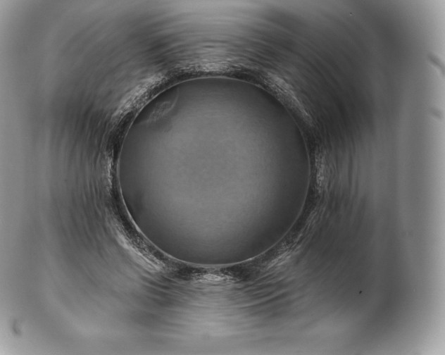 X0000101160542200807071200