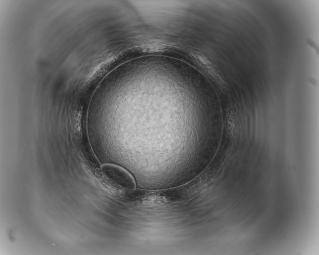 X0000101160543200807071200