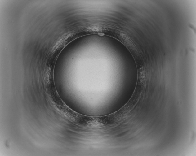 X0000101160544200807071200