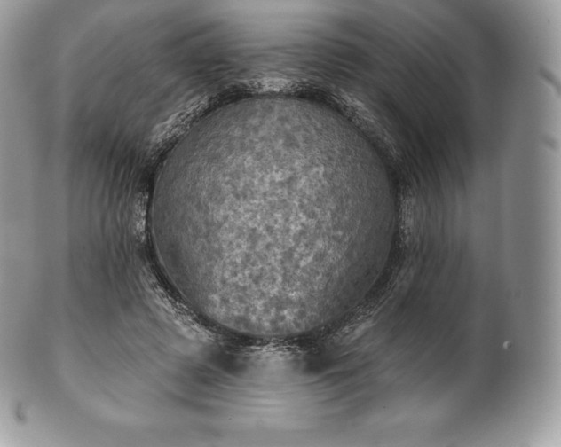 X0000101160545200807071200