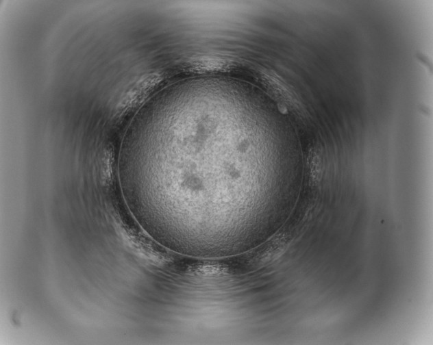 X0000101160546200807071200