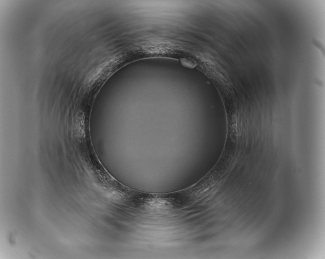 X0000101160547200807071200