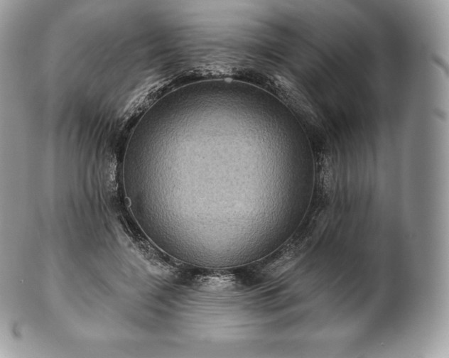 X0000101160548200807071200