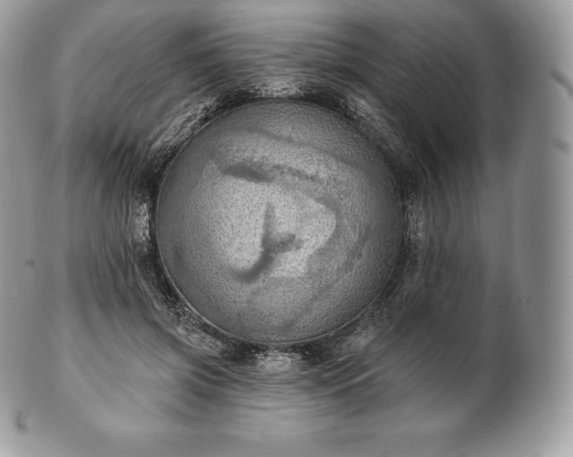 X0000101160549200807071200