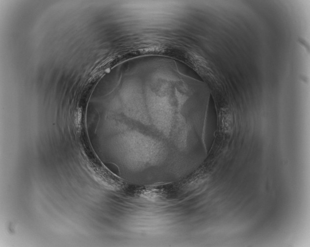 X0000101160550200807071200