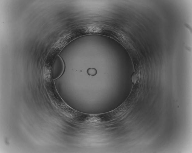 X0000101160551200807071200