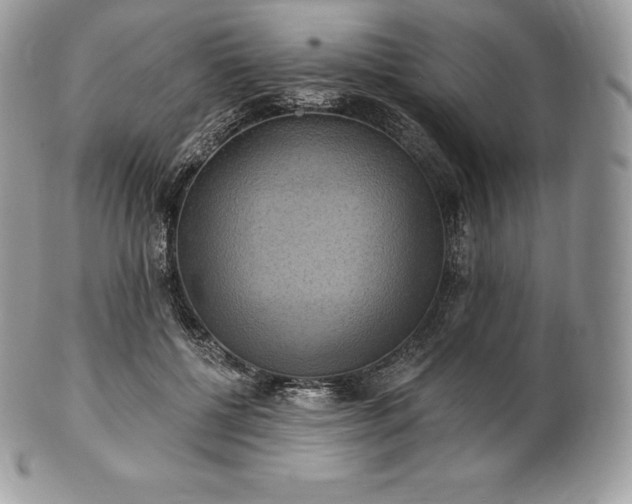 X0000101160552200807071200