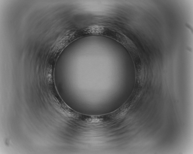 X0000101160553200807071200