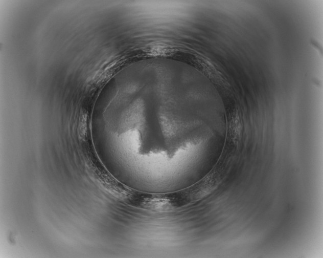 X0000101160554200807071201