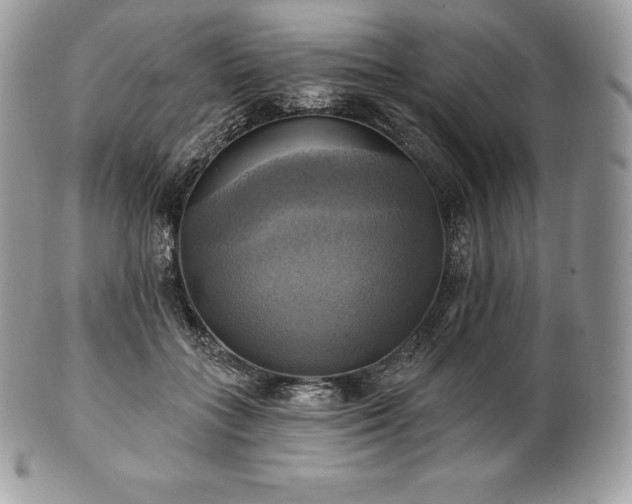 X0000101160555200807071201