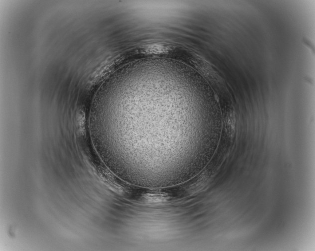 X0000101160556200807071201