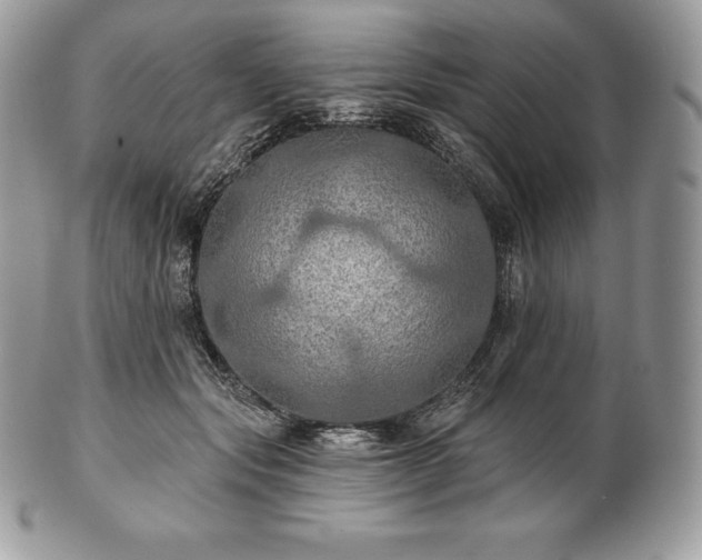 X0000101160557200807071201