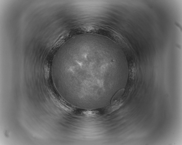 X0000101160558200807071201