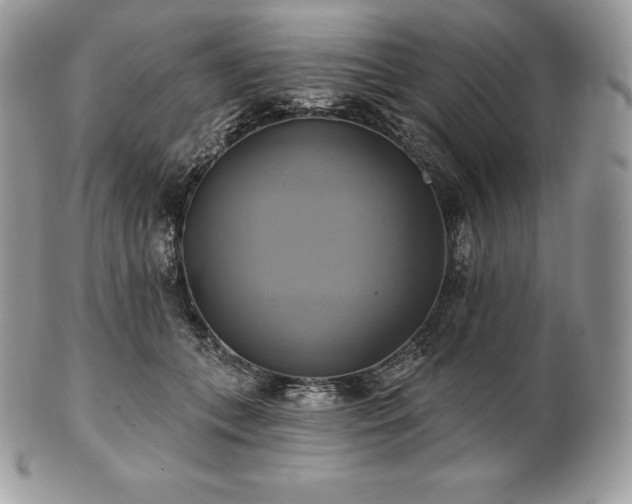 X0000101160559200807071201