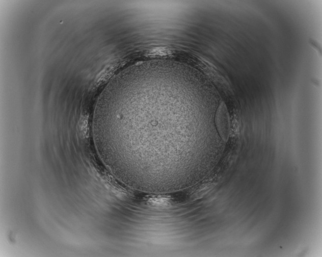 X0000101160560200807071201