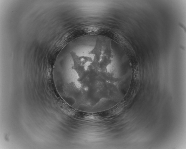 X0000101160561200807071201