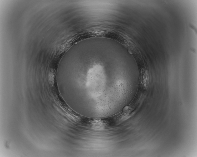 X0000101160562200807071201