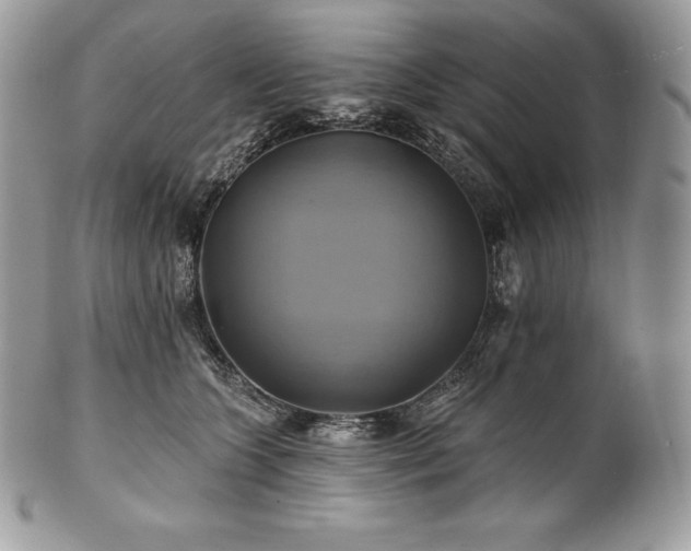 X0000101160563200807071201