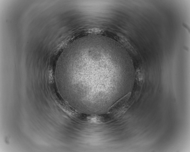 X0000101160564200807071201