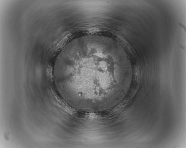 X0000101160565200807071201