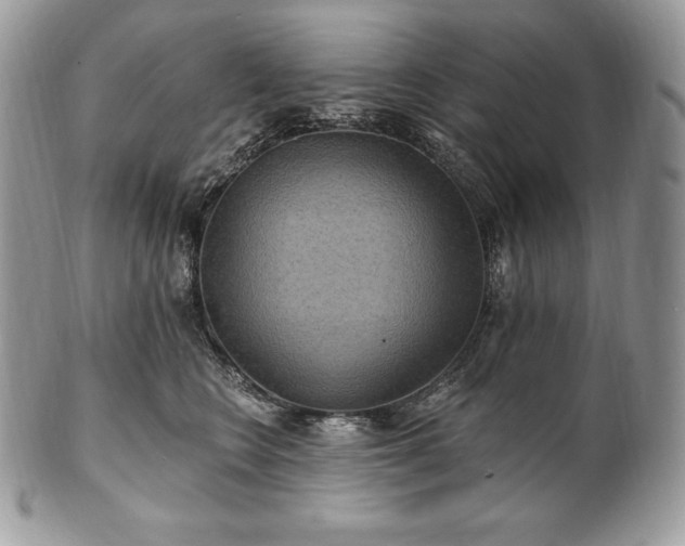 X0000101160566200807071201