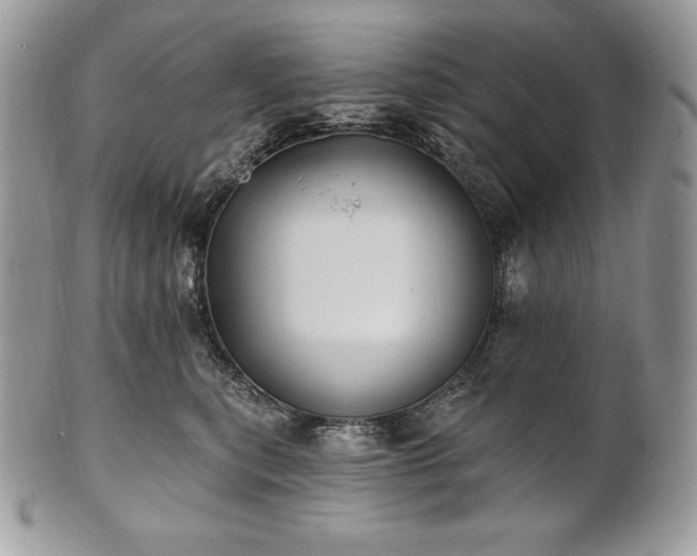 X0000101160567200807071201