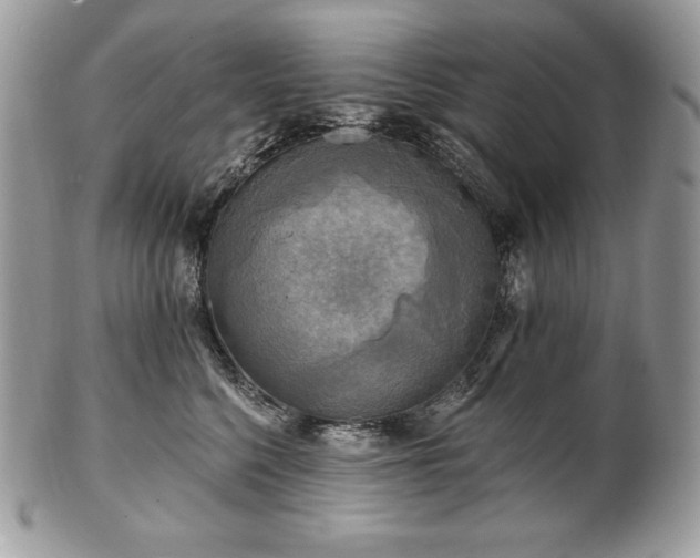 X0000101160568200807071201