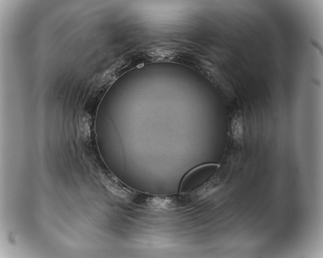 X0000101160570200807071201