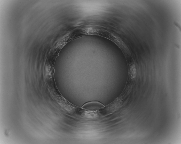 X0000101160571200807071201