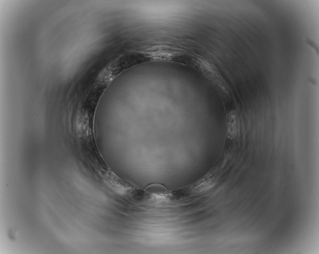 X0000101160573200807071201