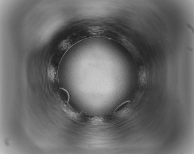 X0000101160574200807071201