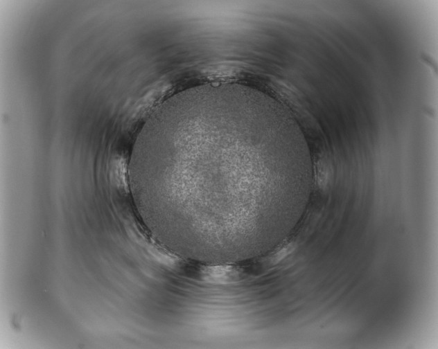 X0000101160575200807071201