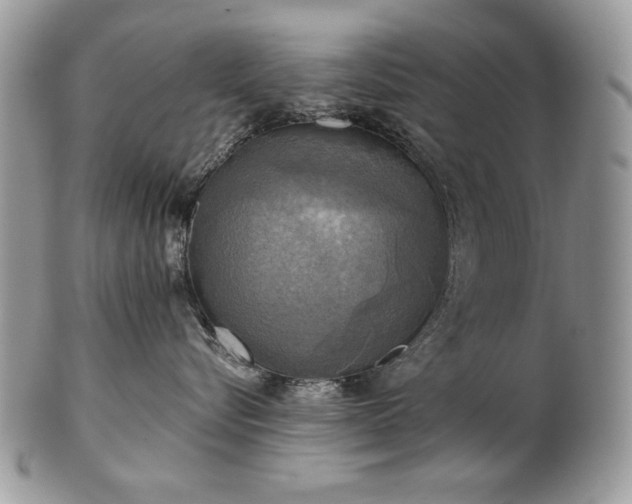 X0000101160576200807071201