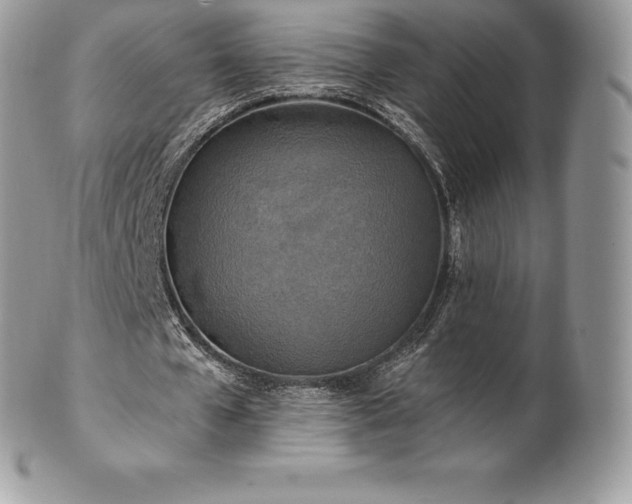 X0000101160577200807071200