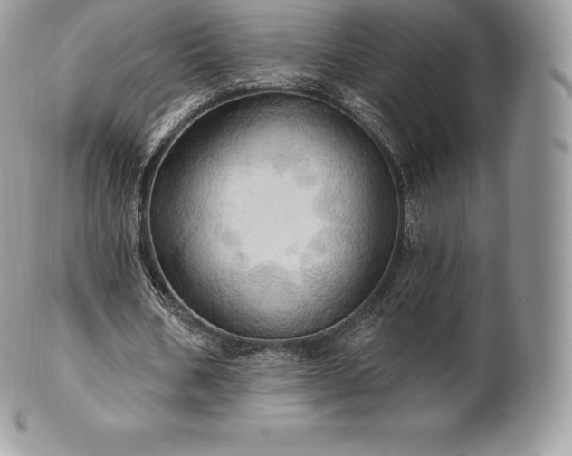 X0000101160578200807071200