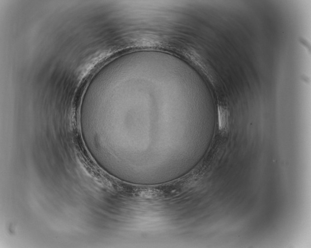 X0000101160579200807071200