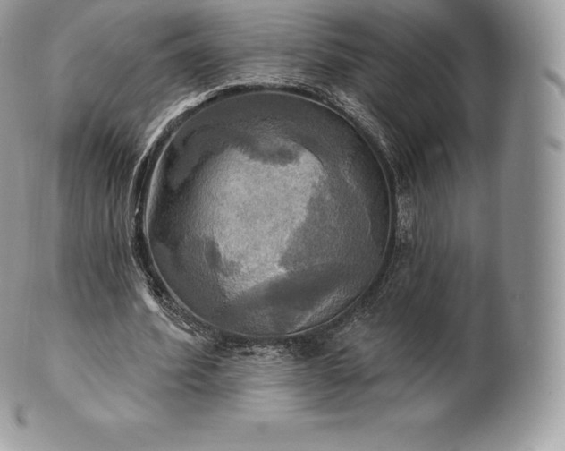 X0000101160580200807071200