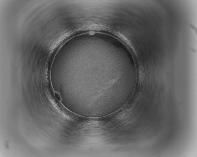 X0000101160581200807071200