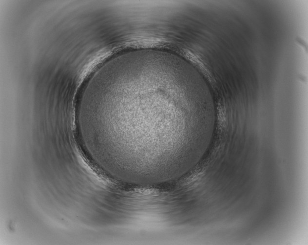 X0000101160582200807071200