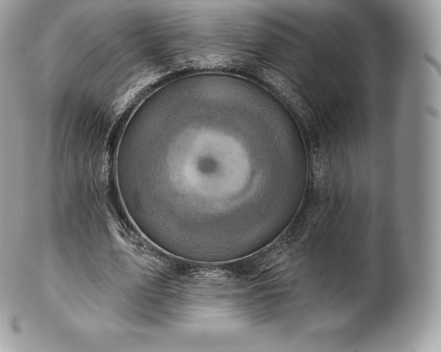 X0000101160583200807071200