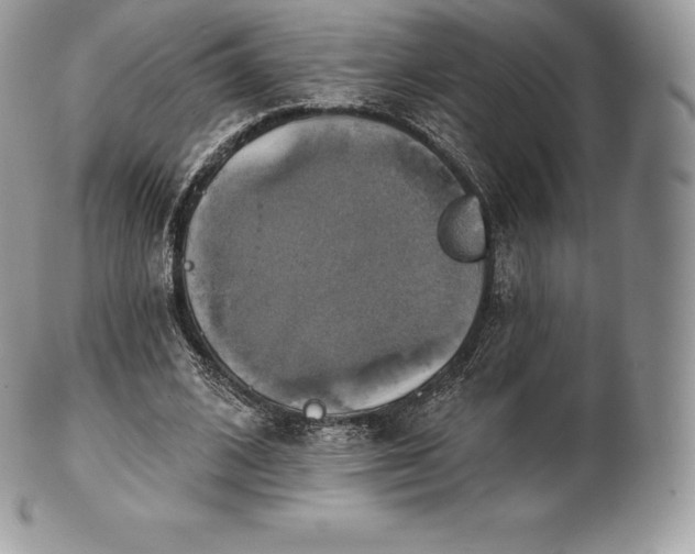 X0000101160584200807071200