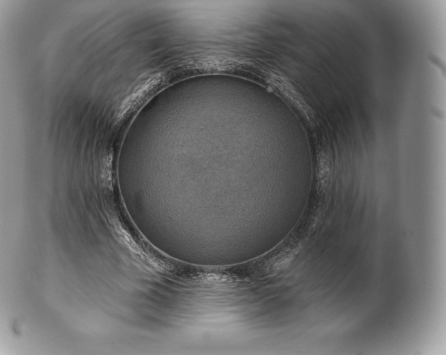 X0000101160585200807071200