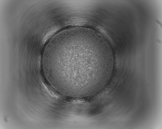 X0000101160586200807071200