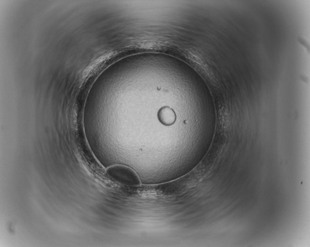 X0000101160587200807071200