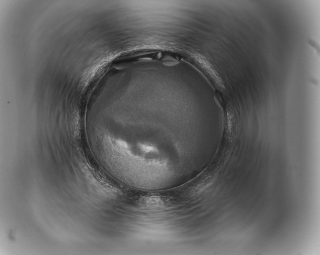 X0000101160588200807071200