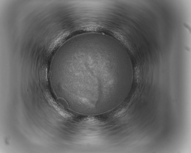 X0000101160589200807071200