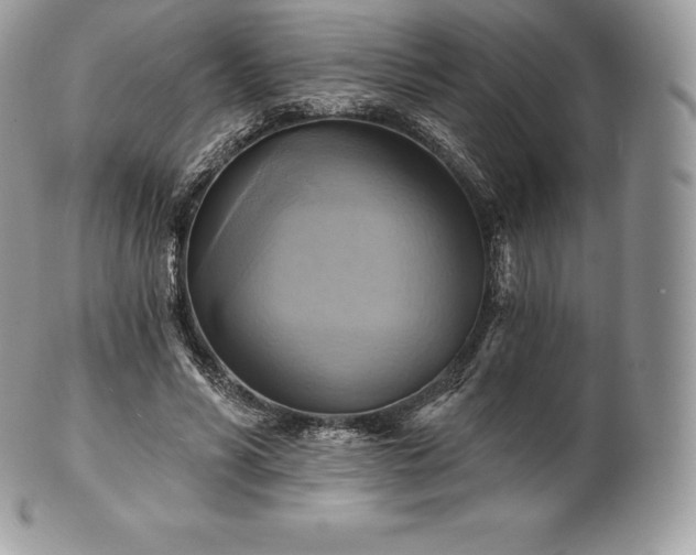 X0000101160590200807071200