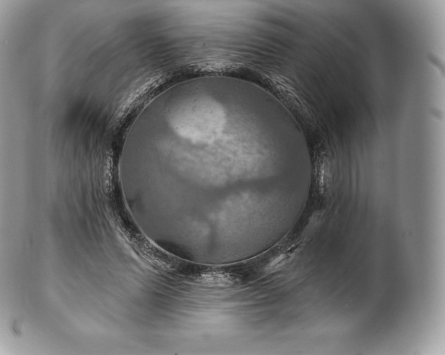 X0000101160591200807071200