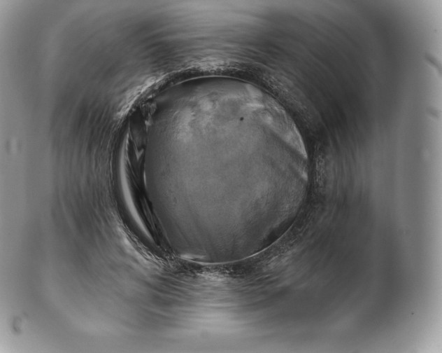 X0000101160592200807071200